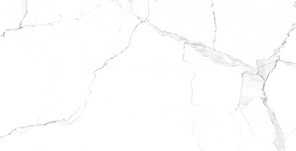 CLASSIC STATUARIO GREY tile face 2